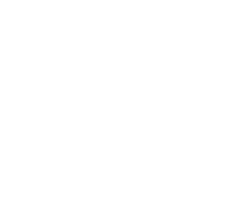 Ajelity